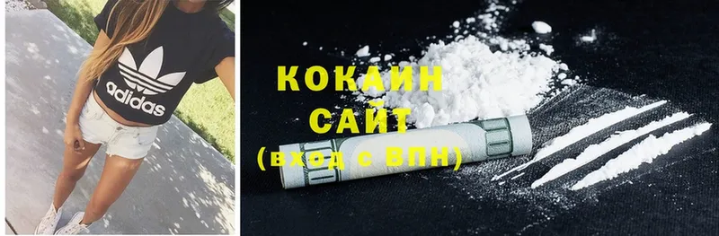 Cocaine Fish Scale  ОМГ ОМГ ONION  Кингисепп  магазин продажи  