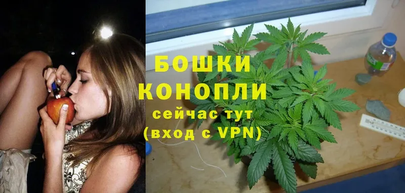 где продают   Кингисепп  Шишки марихуана THC 21% 